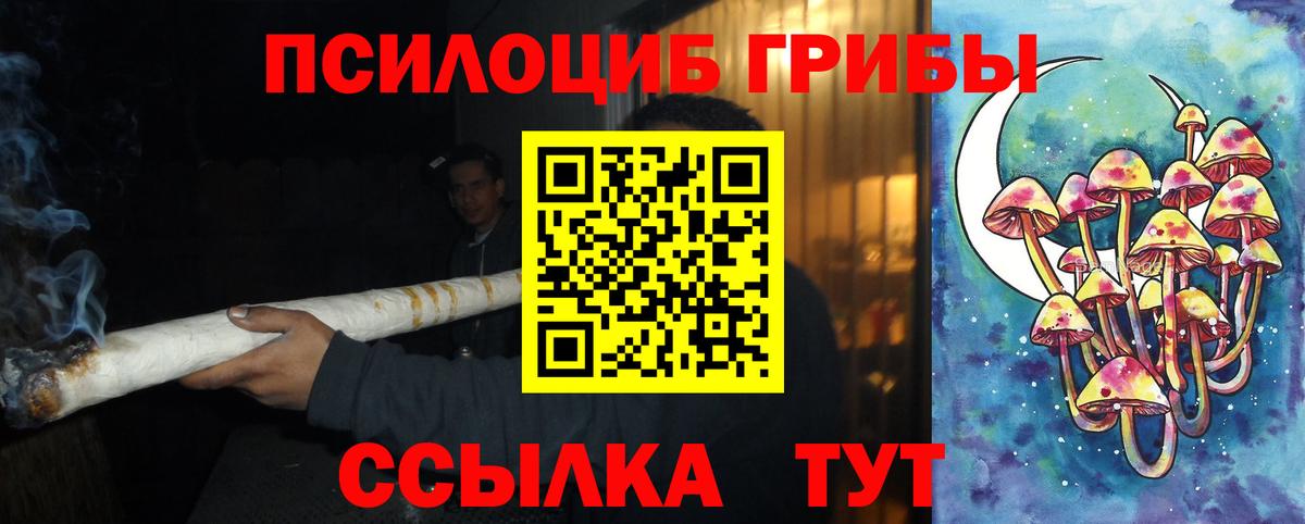 Пушкино  Псилоцибиновые грибы Cubensis  Вход с VPN 