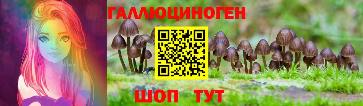Псилоцибиновые грибы Psilocybine cubensis Пушкино